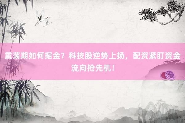 震荡期如何掘金？科技股逆势上扬，配资紧盯资金流向抢先机！