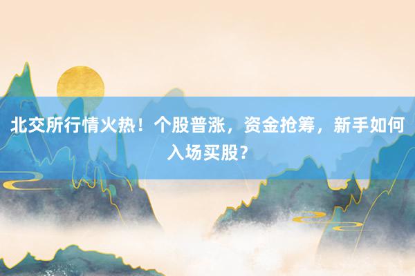 北交所行情火热！个股普涨，资金抢筹，新手如何入场买股？