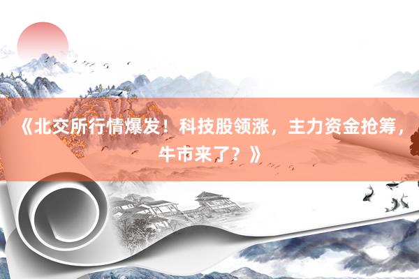 《北交所行情爆发！科技股领涨，主力资金抢筹，牛市来了？》
