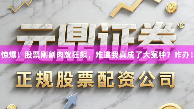 惊爆！股票刚割肉就狂飙，难道我真成了大冤种？咋办！