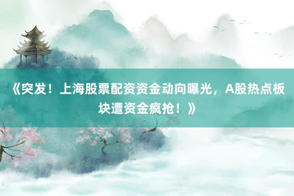 《突发！上海股票配资资金动向曝光，A股热点板块遭资金疯抢！》