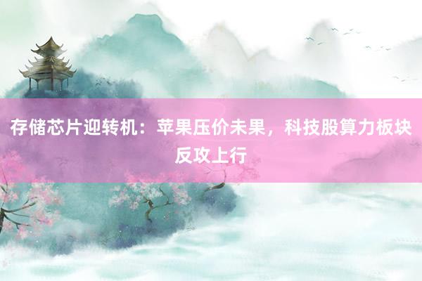 存储芯片迎转机：苹果压价未果，科技股算力板块反攻上行