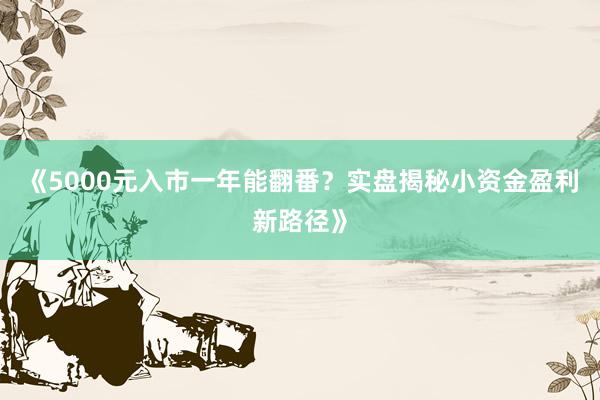 《5000元入市一年能翻番？实盘揭秘小资金盈利新路径》