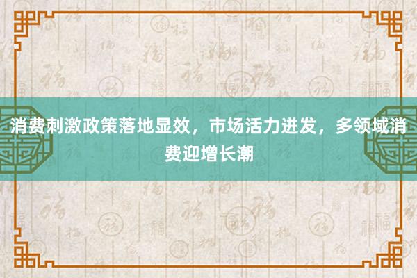 消费刺激政策落地显效，市场活力迸发，多领域消费迎增长潮