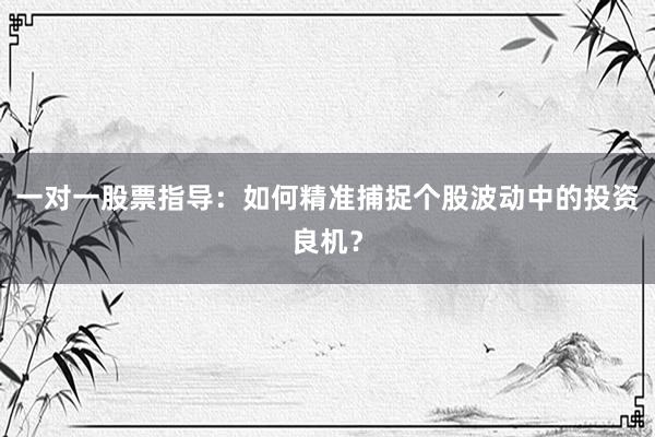 一对一股票指导：如何精准捕捉个股波动中的投资良机？
